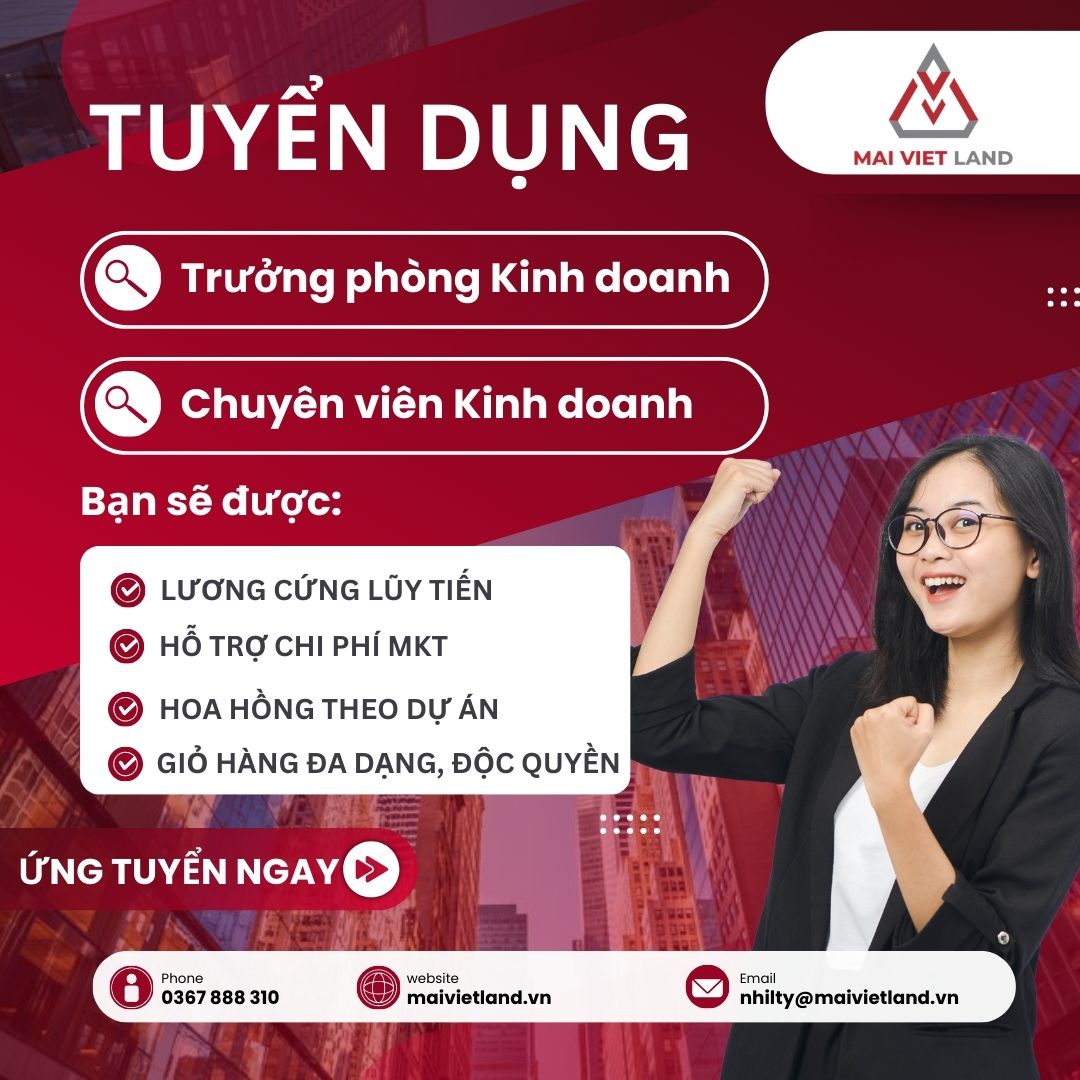 lĩnh vực hoạt động